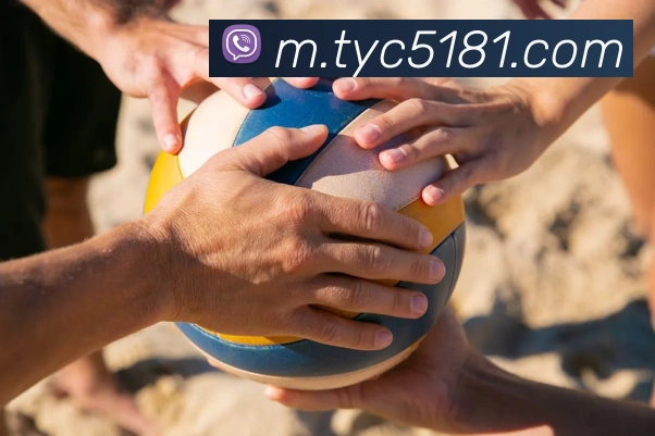 太阳城服务体系